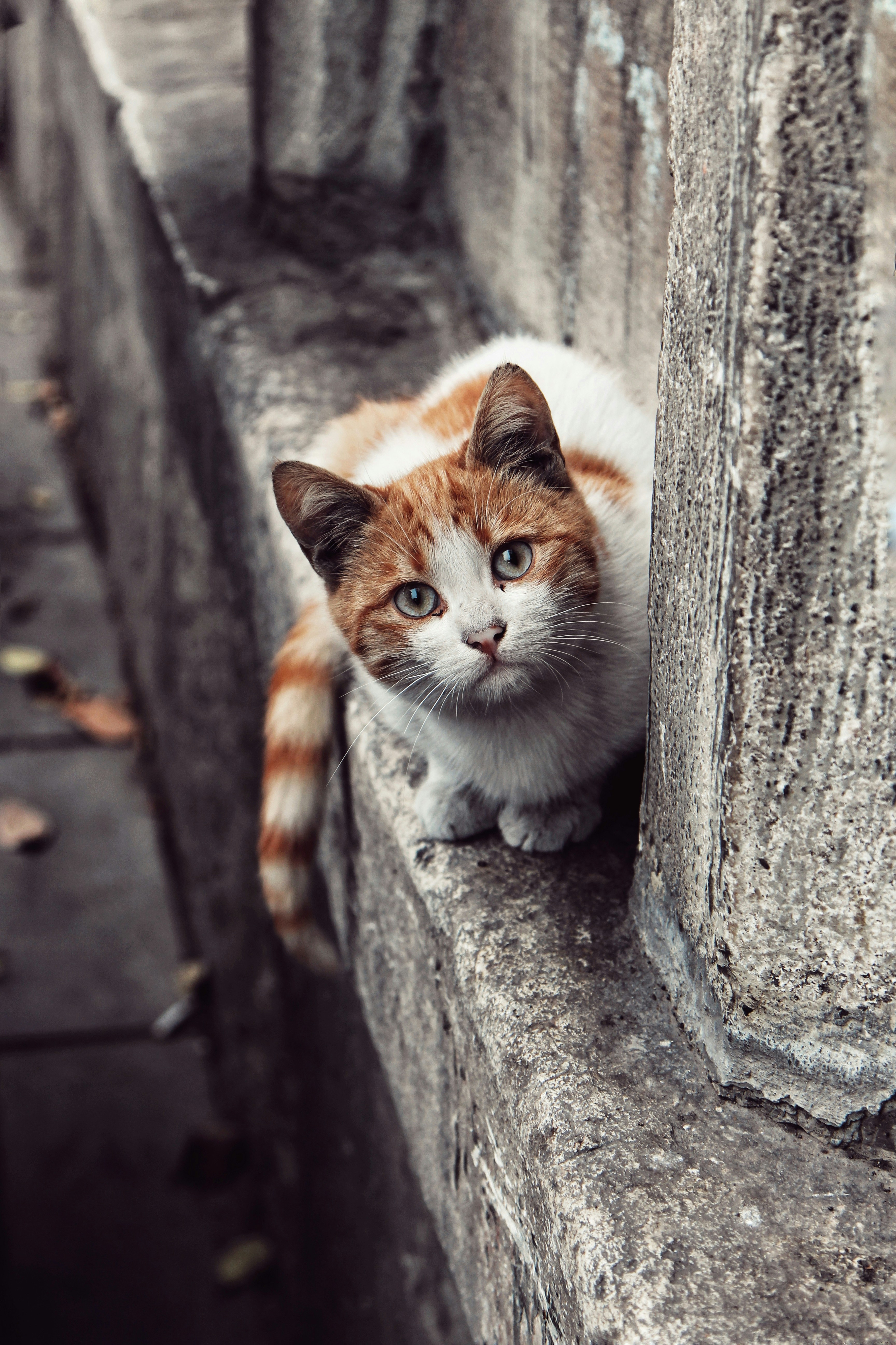 Common Mistakes People Make (image credits: unsplash)