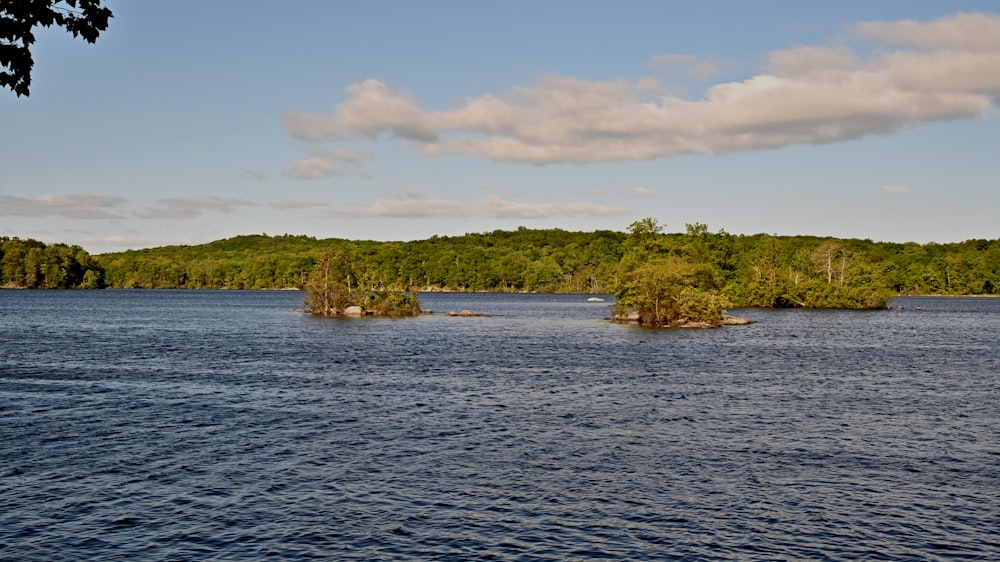 a body of water surrounded by trees and clouds