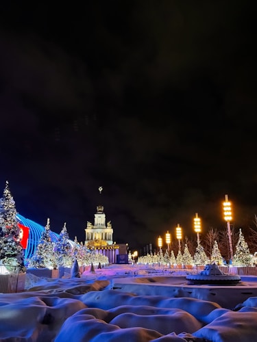 A nighttime winter scene featuring a grand building illuminated with lights, surrounded by numerous decorated Christmas trees covered in snow. The foreground shows snow-covered ground, creating a festive and serene atmosphere. The sky is dark, contrasting with the vibrant lighting on the building and trees.