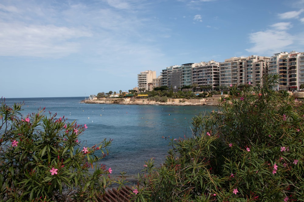 a body of water with buildings in the background