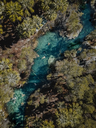 Happy tourists tubing down a clear river with rocky banks and forest backdrop.