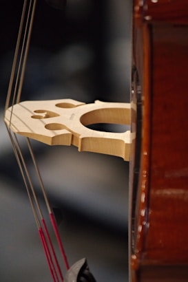 A close-up of a string instrument, likely a violin or cello, focusing on the bridge and strings. The wooden bridge is finely crafted, displaying its intricate cutouts and grain. The background is softly blurred, highlighting the instrument's polished surface.