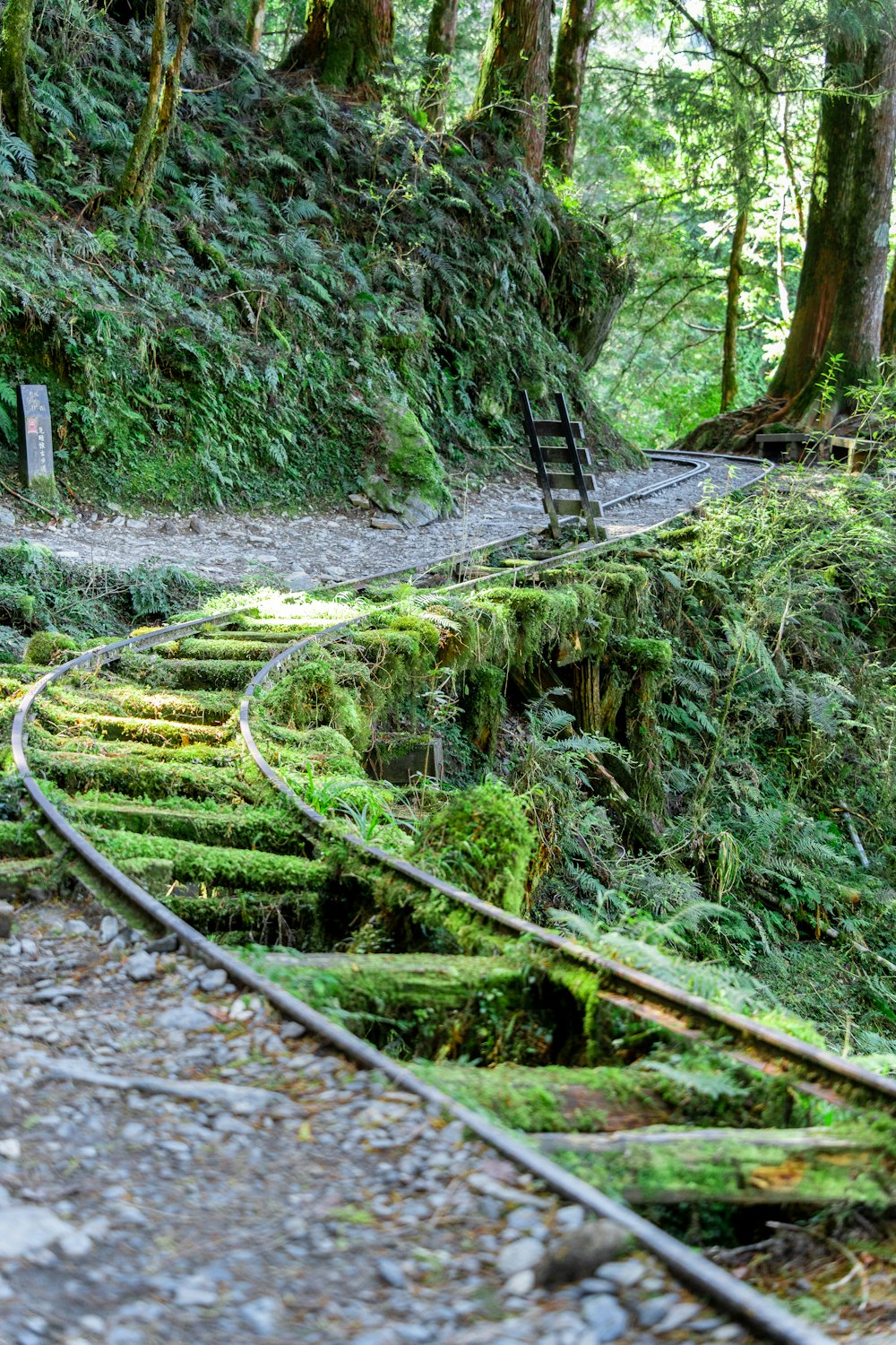 a train track running through a lush green forest