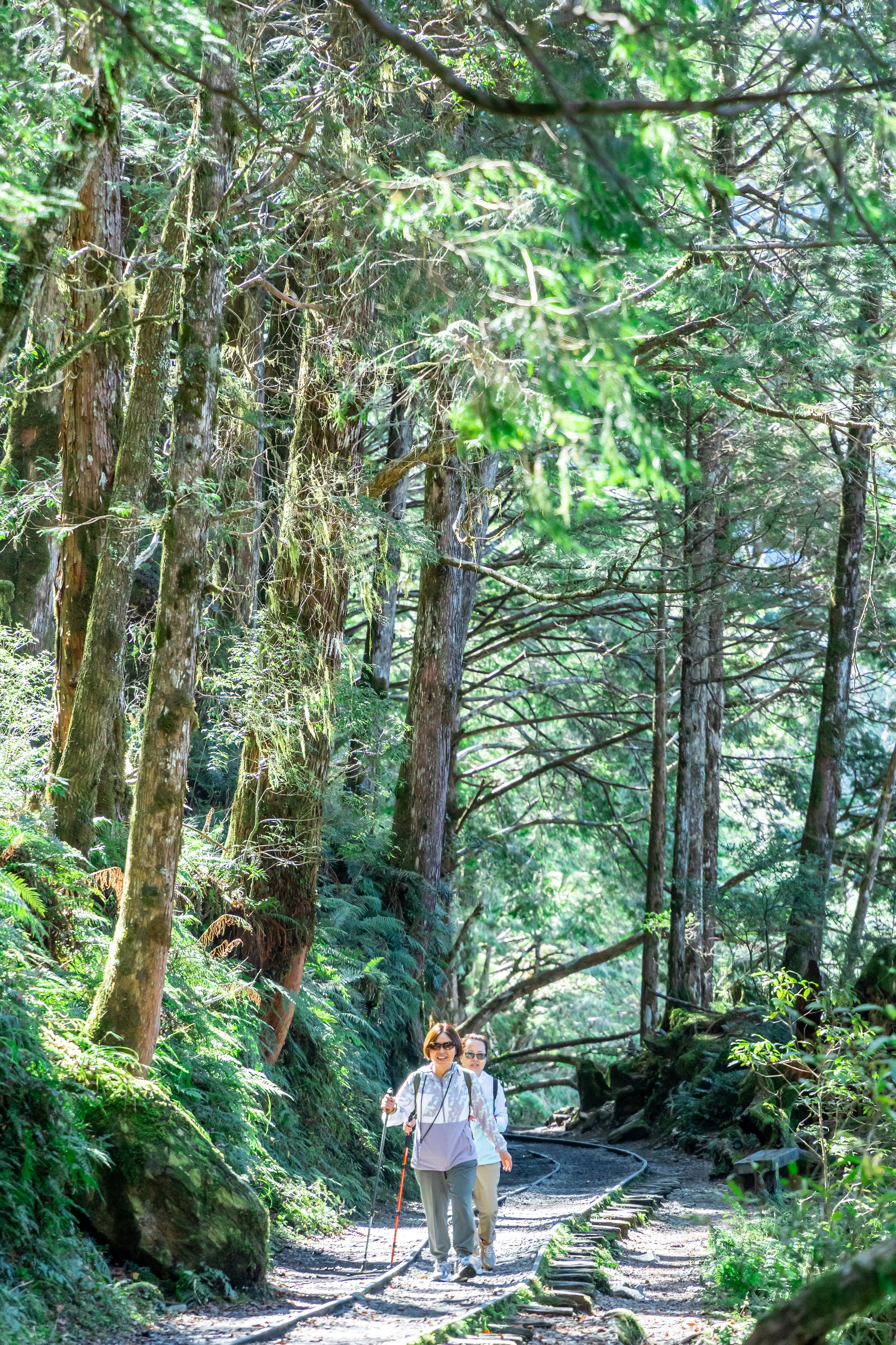 Photo by winstonchen