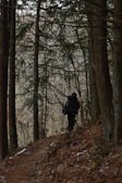 A hiker wearing a large-capacity Trailguard Pack on a forest trail.