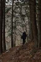 A hiker using the backpack on a forest trail.