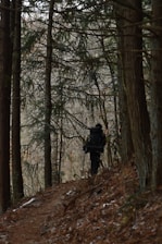 A hiker carrying a thermal backpack walking along a forest trail at sunrise.