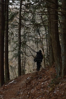 Backpacker wearing a large Coblefa LLC backpack walking along a forest path.