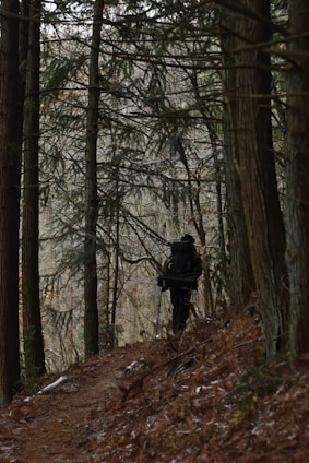 Hiker wearing a 50-liter backpack with breathable back panel and padded straps on a forest trail.