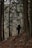A person with a large backpack walks along a narrow, forested hiking trail. Tall trees with a dense canopy line the path, and brown leaves cover the ground, indicating a late autumn or early winter setting.