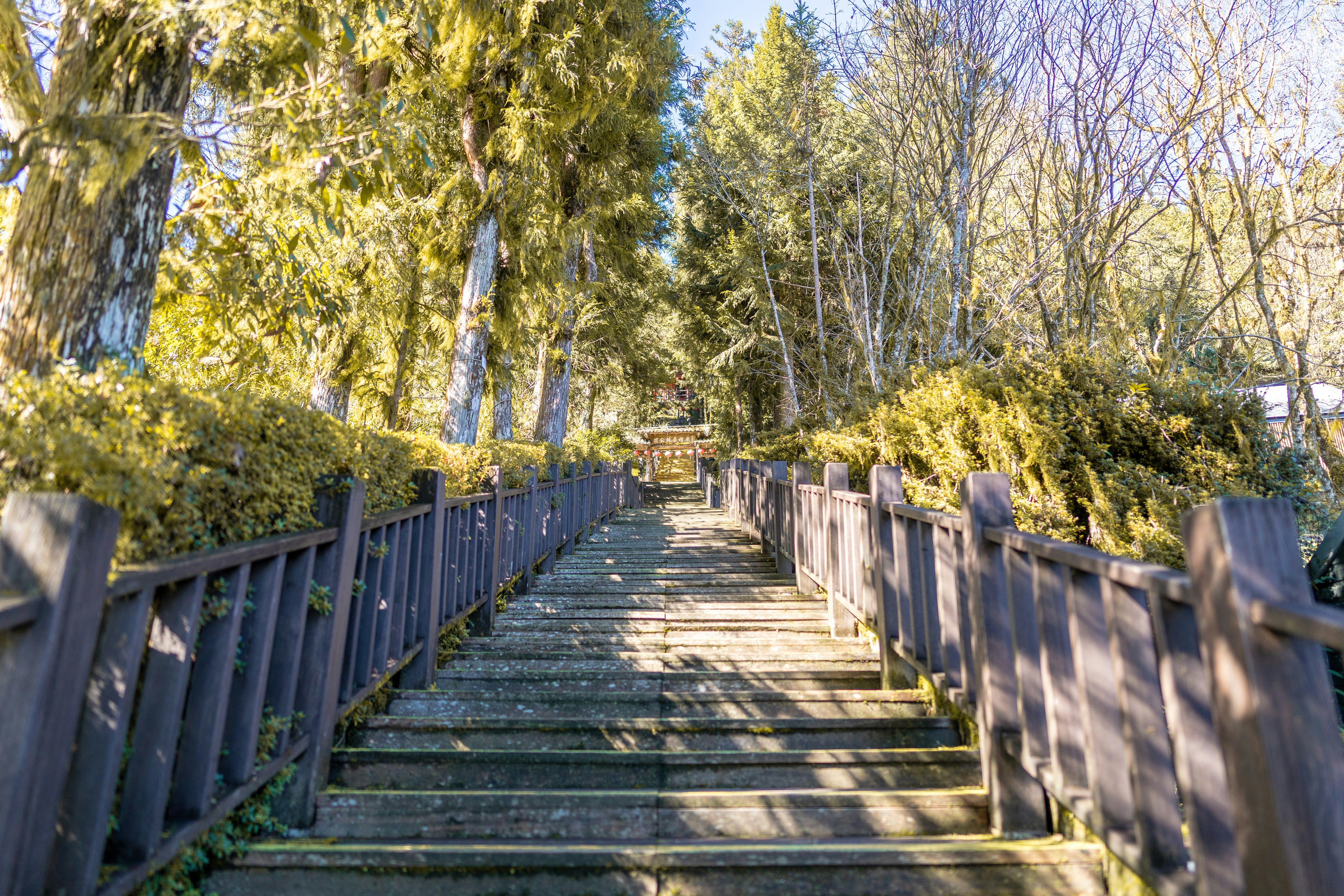 A set of steps leading up to the top of a hill photo – Free Taipingshan ...