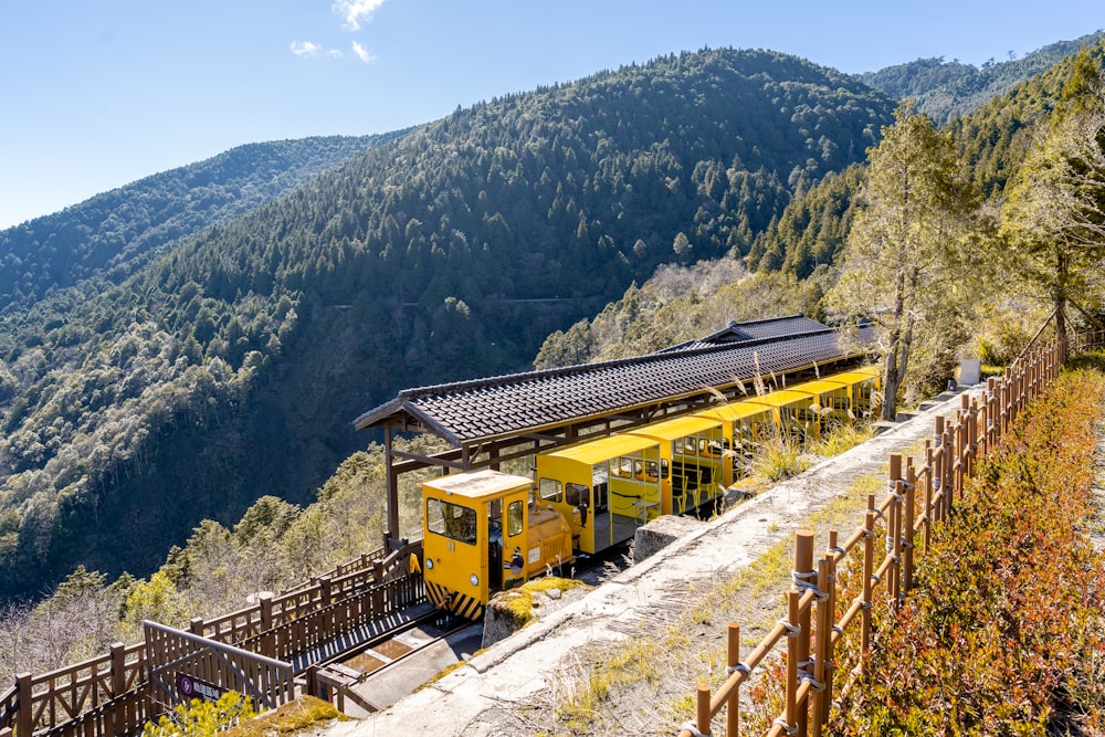 Un tren amarillo que viaja por las vías del tren junto a un bosque