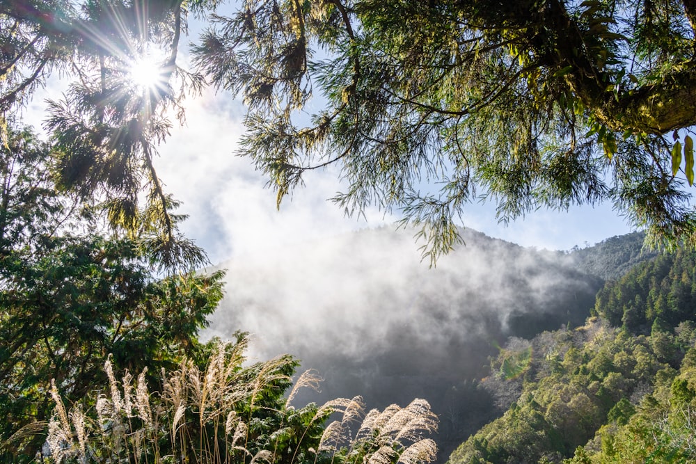 the sun shines through the clouds in the mountains