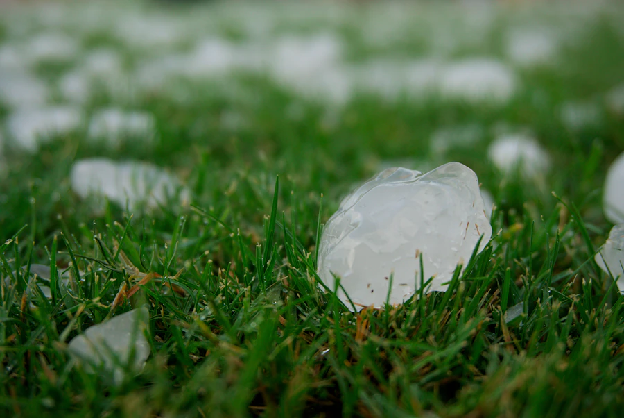 A large hailstone in green grass