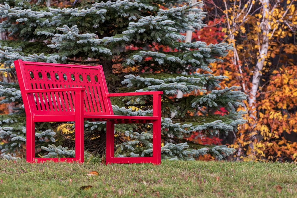 a red bench sitting in front of a forest
