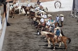 A group of people dressed in traditional attire sit atop horses in a line. They are wearing wide-brimmed hats and colorful clothing, gathered in an arena with a dirt floor. The wall in the background is white with brick elements, and a horseshoe emblem is displayed on it. Some individuals are standing nearby, also wearing similar attire.