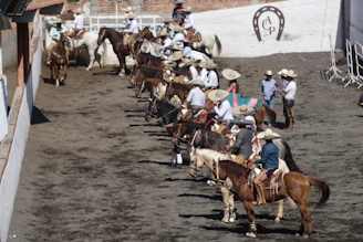 A rustic corral with horses being prepared for traditional herrar activities.