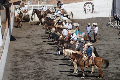 A rustic corral with horses being prepared for traditional herrar activities.