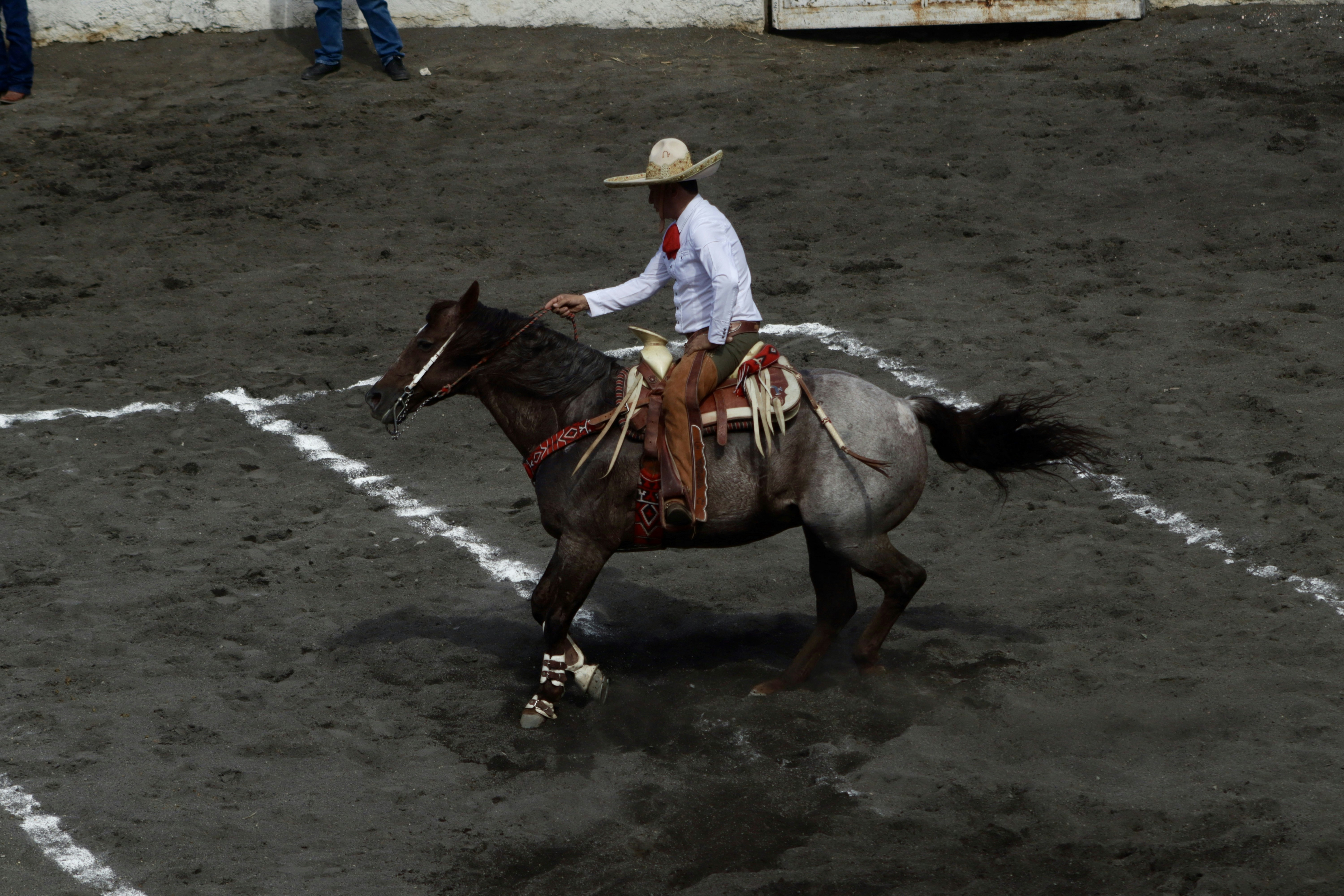 Photo by jorgeel_vm09