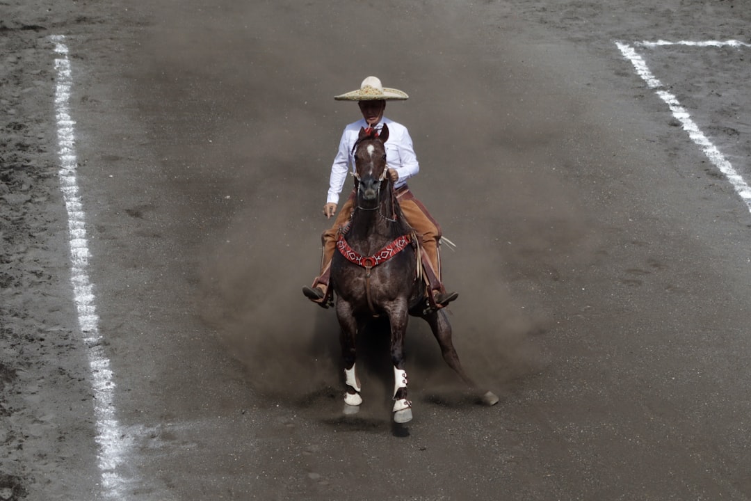 a man riding on the back of a brown horse,