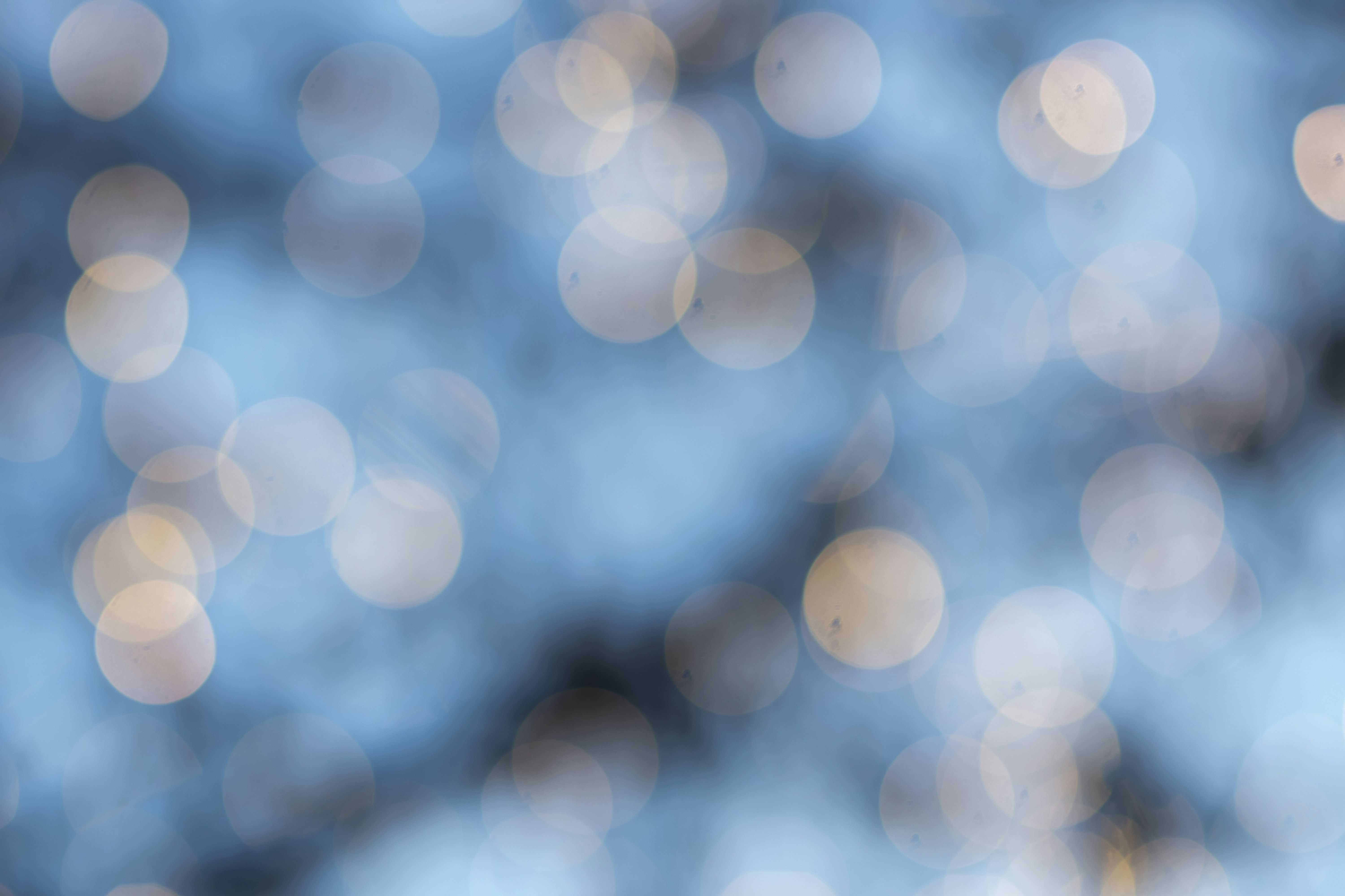 Photo by tayannphoto