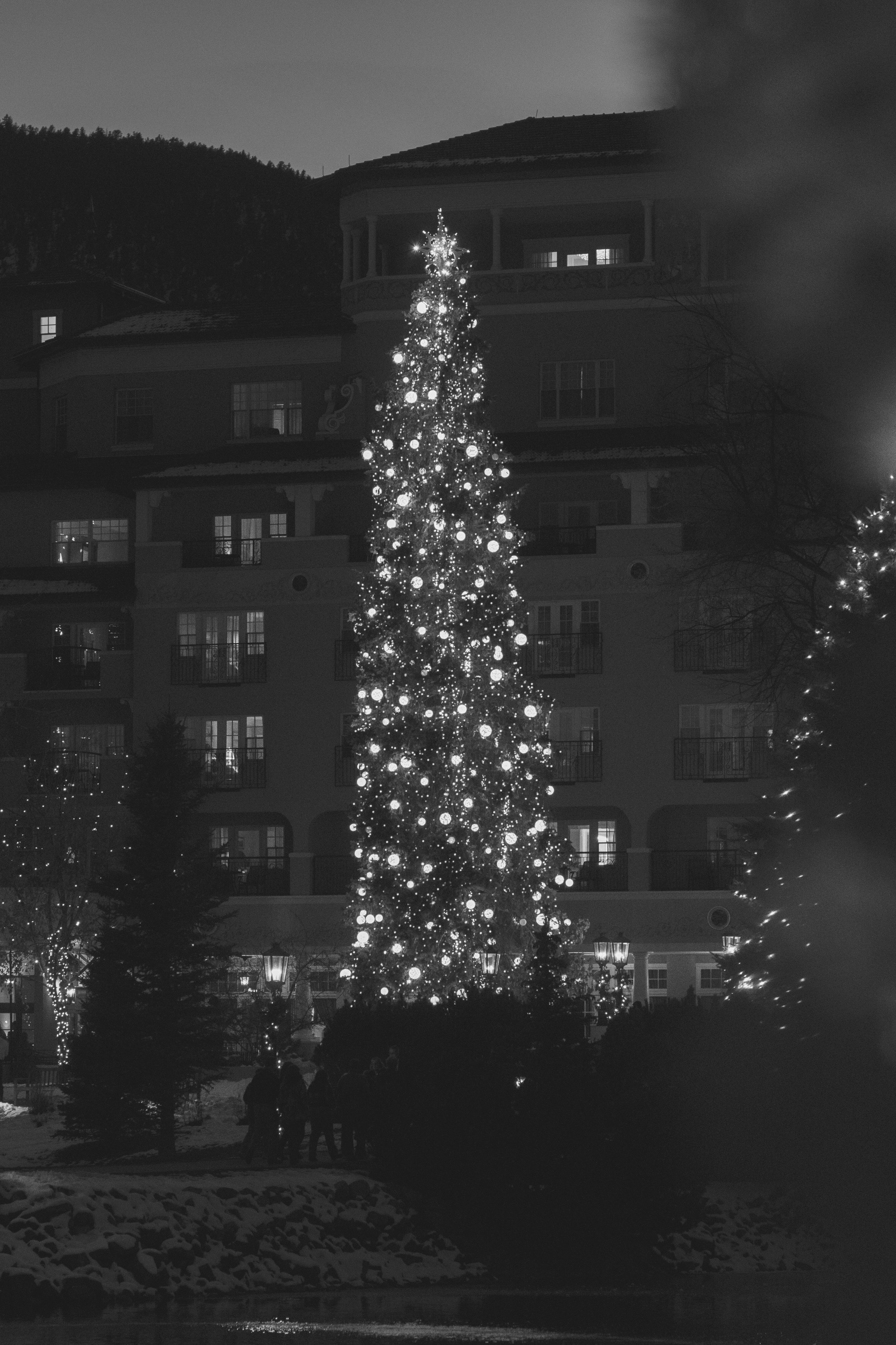 A lit christmas tree in front of a building photo Free Christmas Image on Unsplash