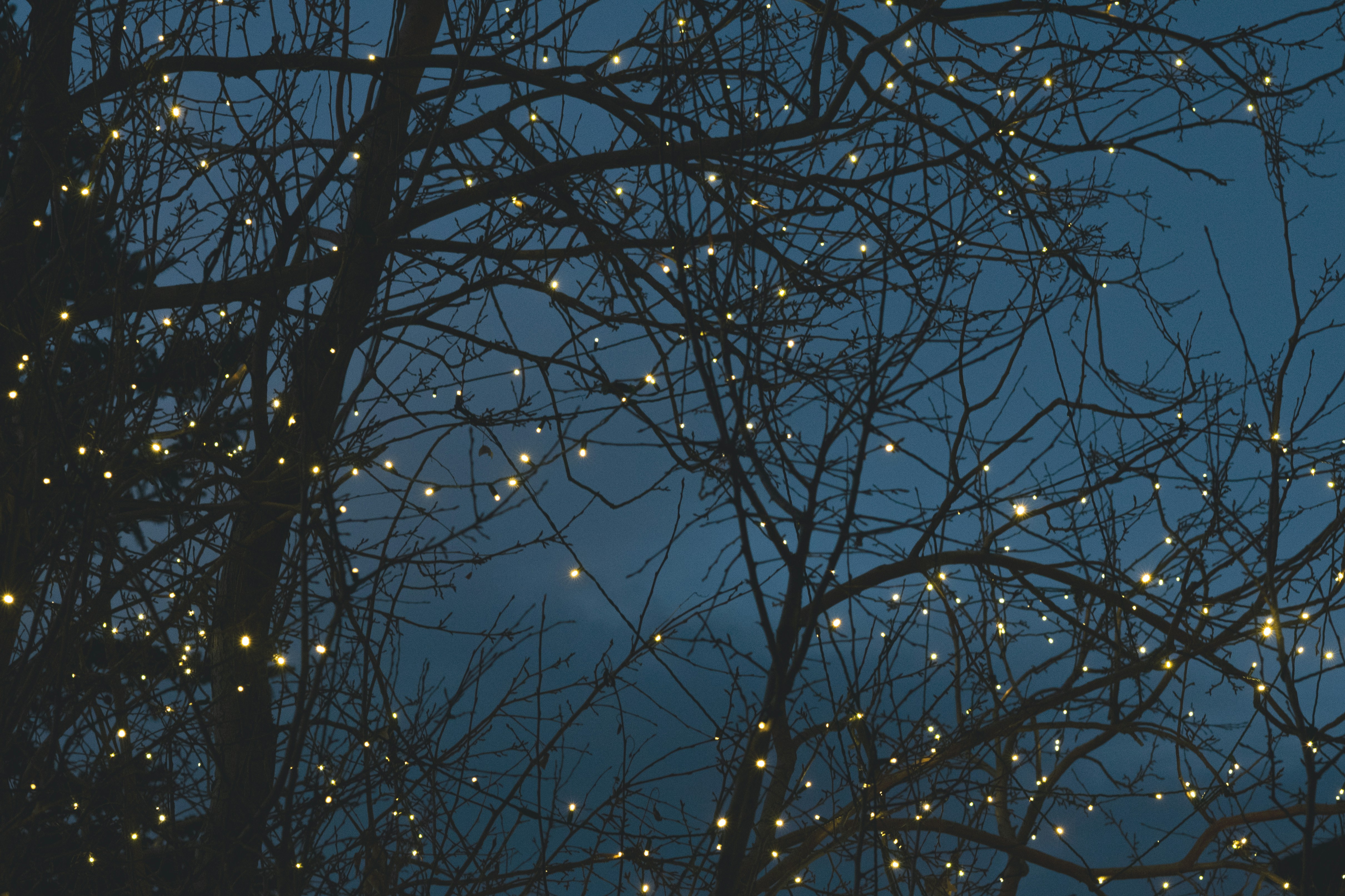 Photo by tayannphoto