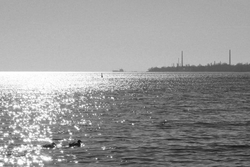 a black and white photo of a body of water