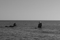 A black and white photo of a calm sea with small, jagged rocks jutting out of the water. A lone seagull perches on one of the rocks, facing right. The horizon is flat and expansive, creating a serene and open atmosphere.