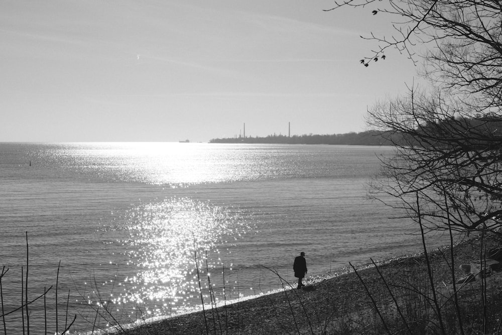 una persona in piedi su una spiaggia vicino all'oceano