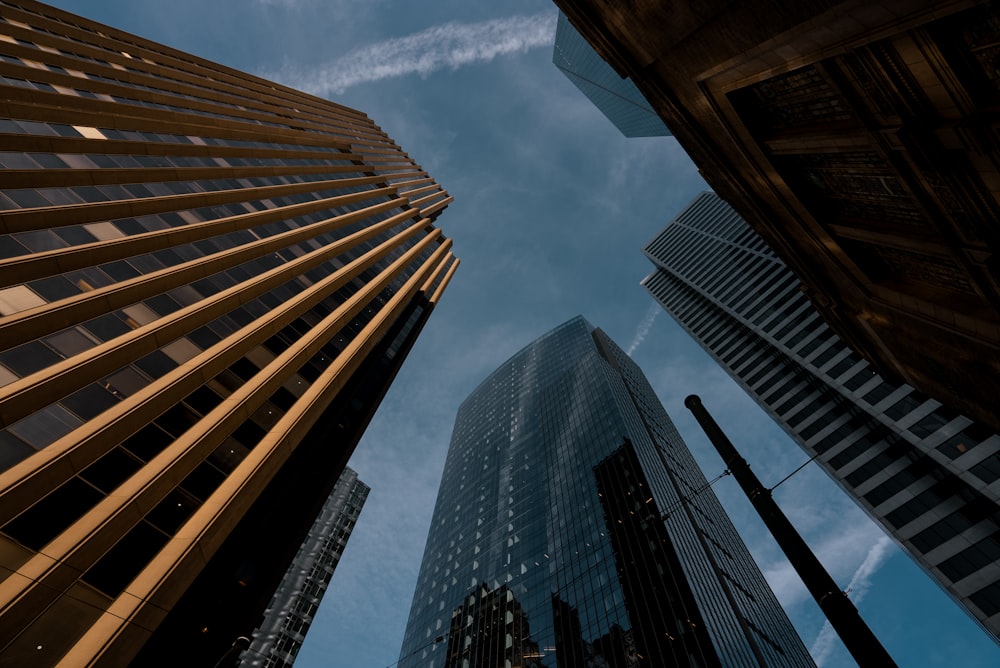 looking up at tall buildings in a city