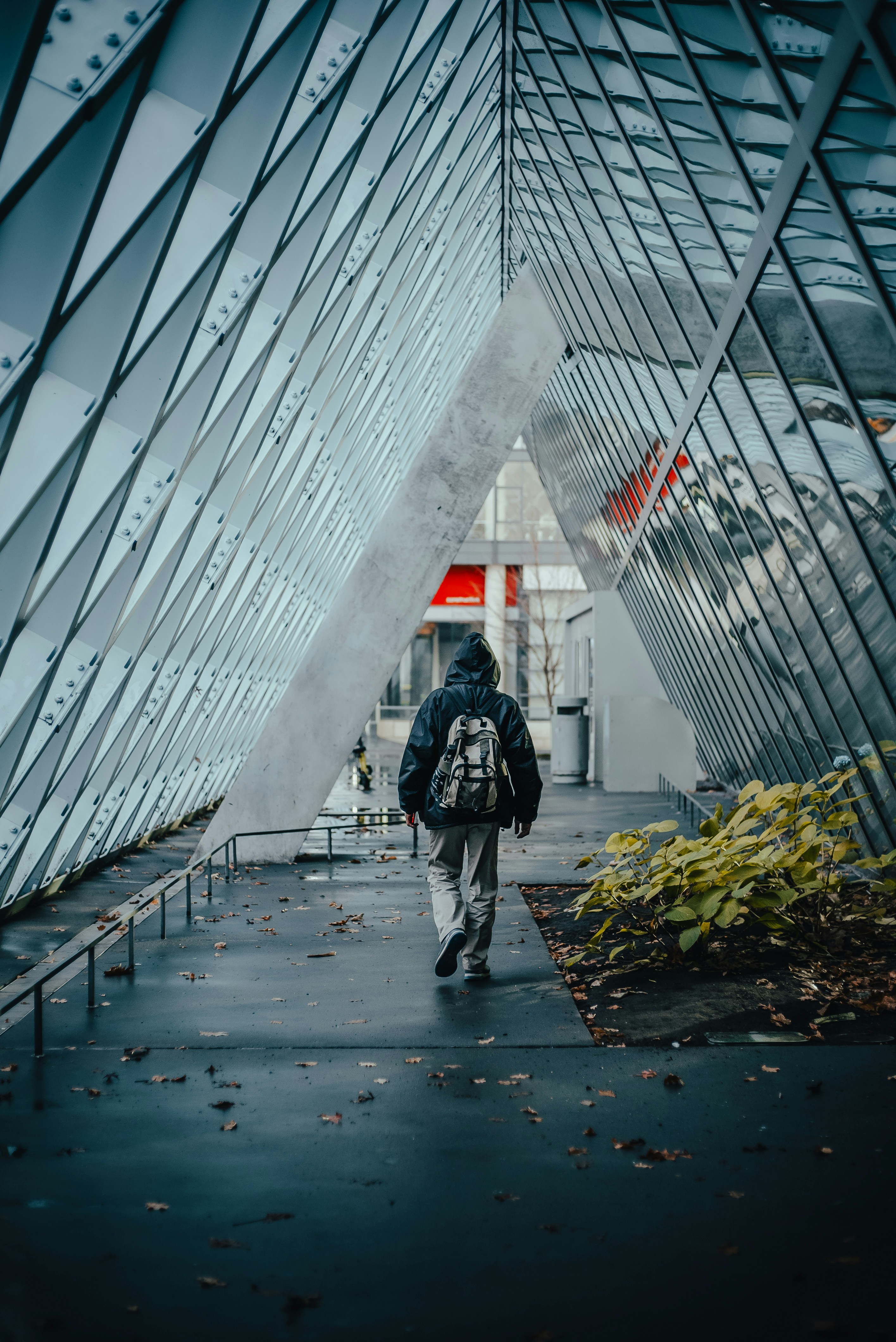 Photo by joshhild