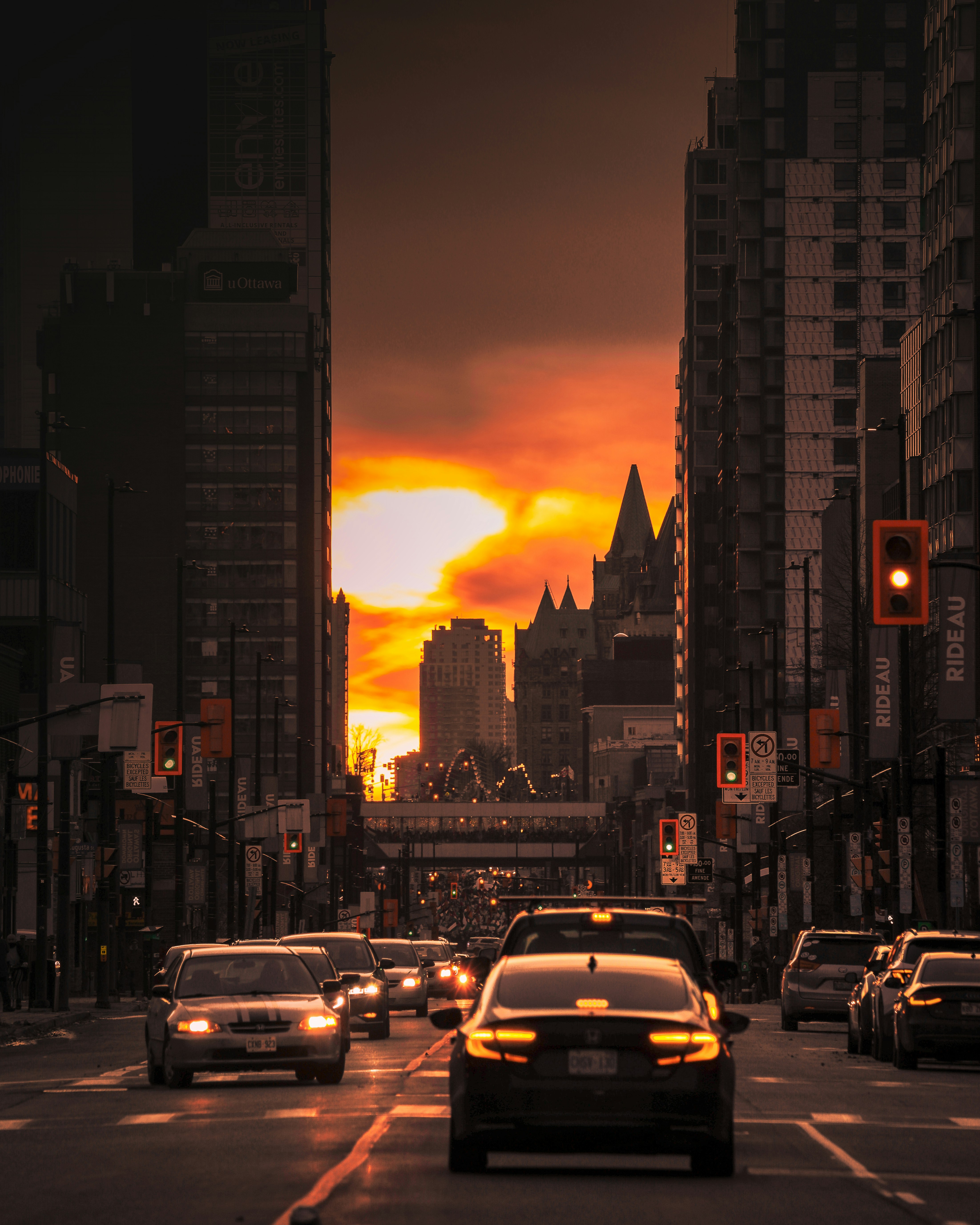 Photo by photo_novice_san