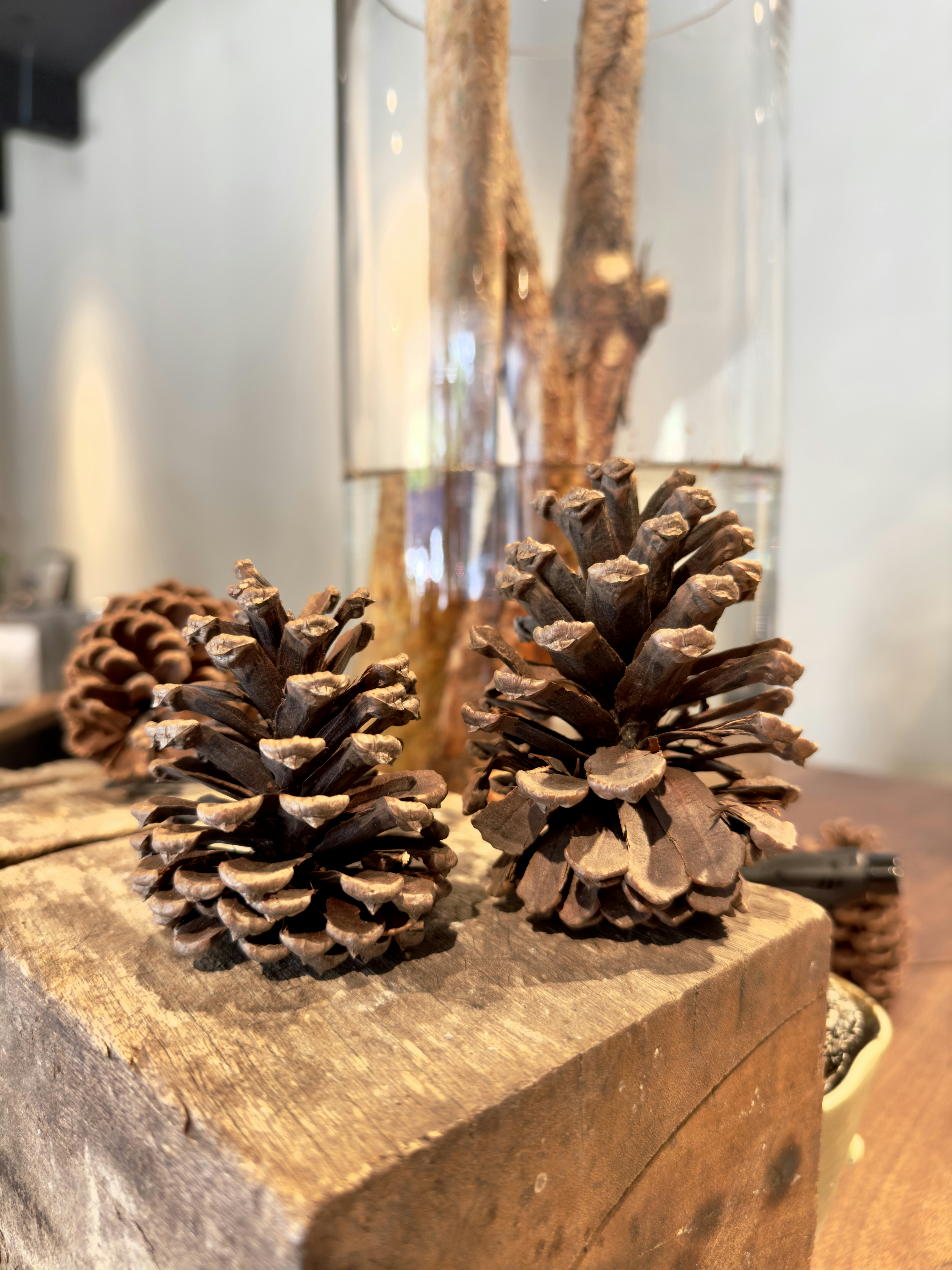 Handcrafted Pine Cone Decor
