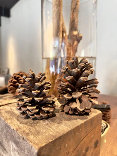 Close-up of pine cones arranged artistically on a rustic wooden table