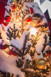 A cozy Christmas corner with a lush green abeto decorated with warm white lights and red poinsettias around.