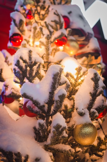 A cozy Christmas corner with a lush green abeto decorated with warm white lights and red poinsettias around.