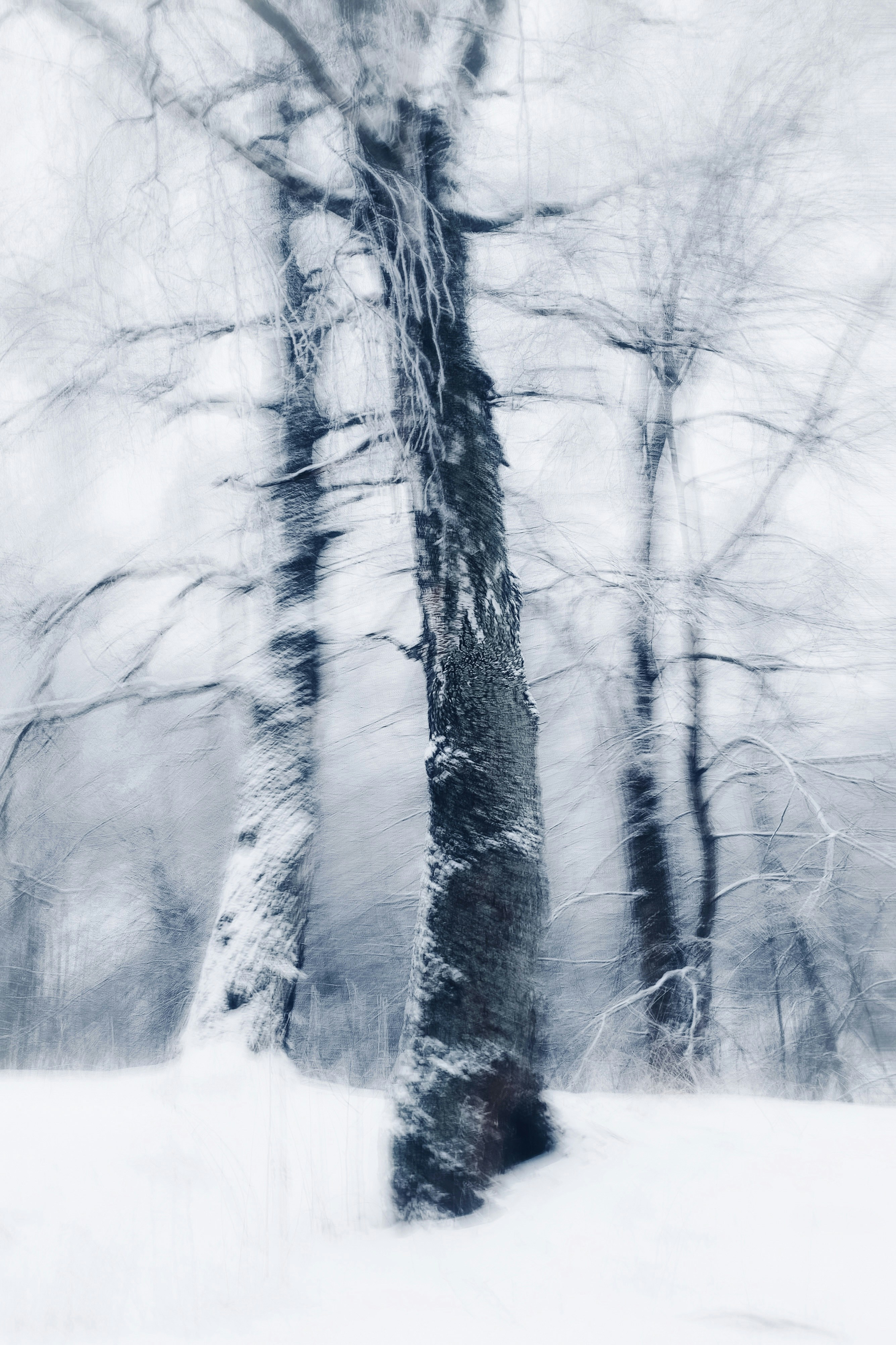 Photo by eugene_golovesov