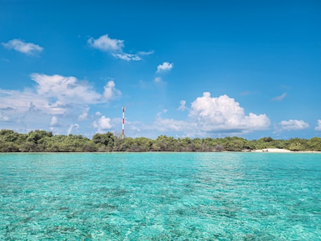 A tropical scene featuring crystal-clear turquoise water and a lush green shoreline under a bright blue sky with scattered white clouds. A red and white communications tower stands among the greenery, creating a striking contrast with the natural elements.
