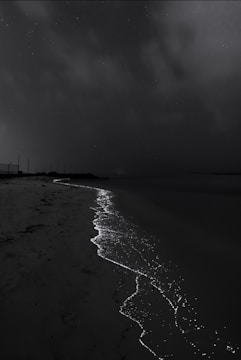 A dark, nighttime beach scene with waves glowing with bioluminescence along the shoreline under a starry sky.