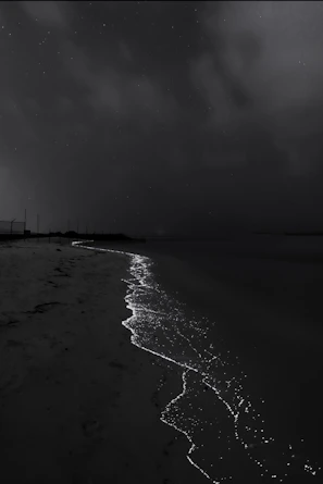 A glowing bioluminescent bay under a starry night sky in the Gulf of Nicoya.