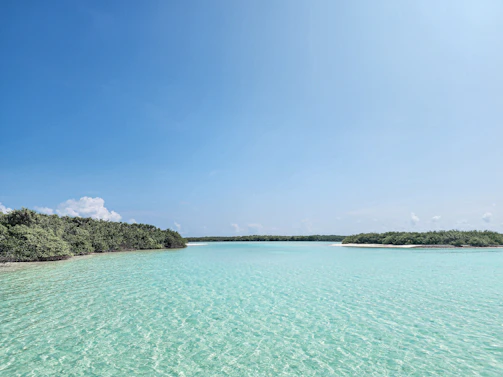 Crystal clear waters and white sandy beaches of Raja Ampat under a bright blue sky.