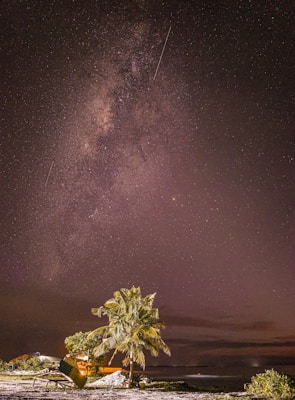 A starry night sky featuring the Milky Way galaxy spans overhead, with visible shooting stars. Below, a tropical landscape includes a palm tree and a sandy shore. Faint artificial lighting illuminates some areas, contrasting with the natural darkness.