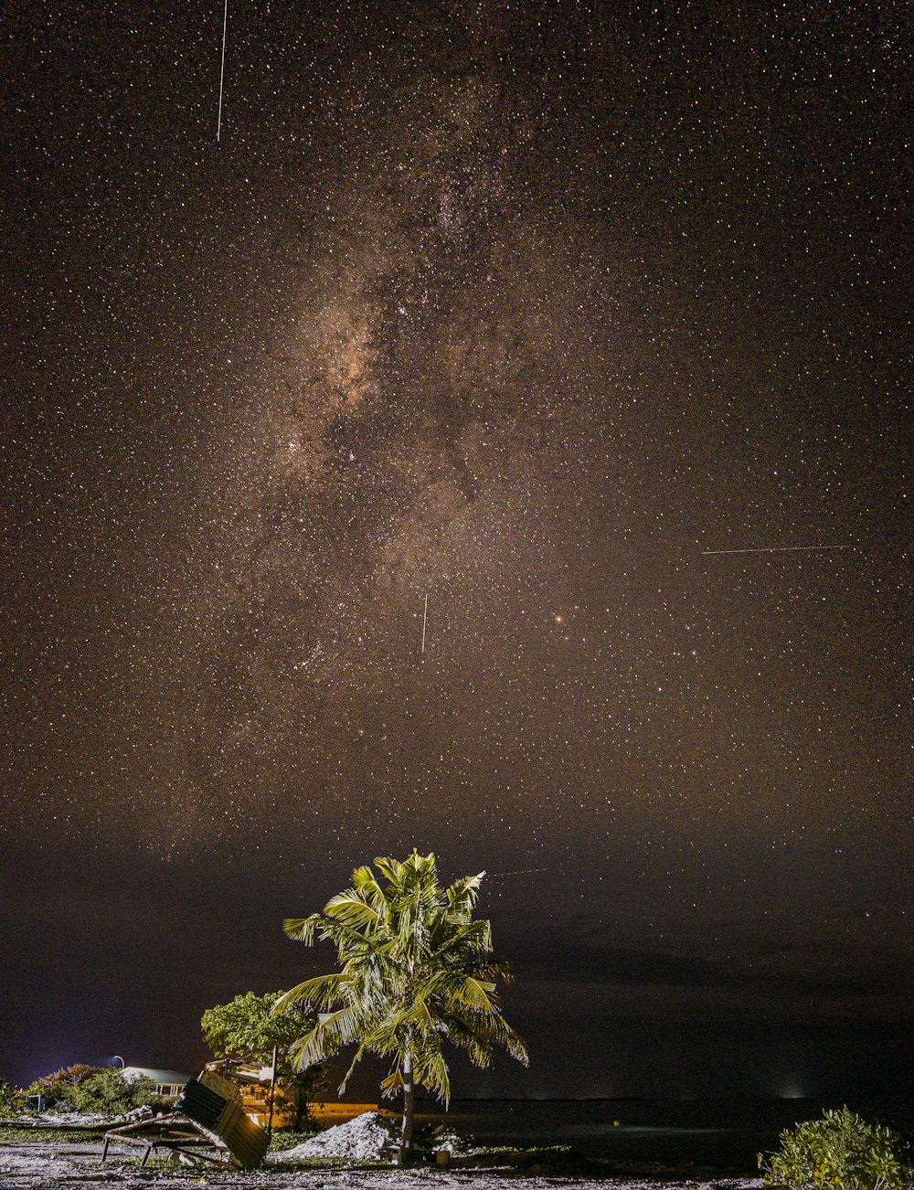 the night sky is filled with stars and a palm tree