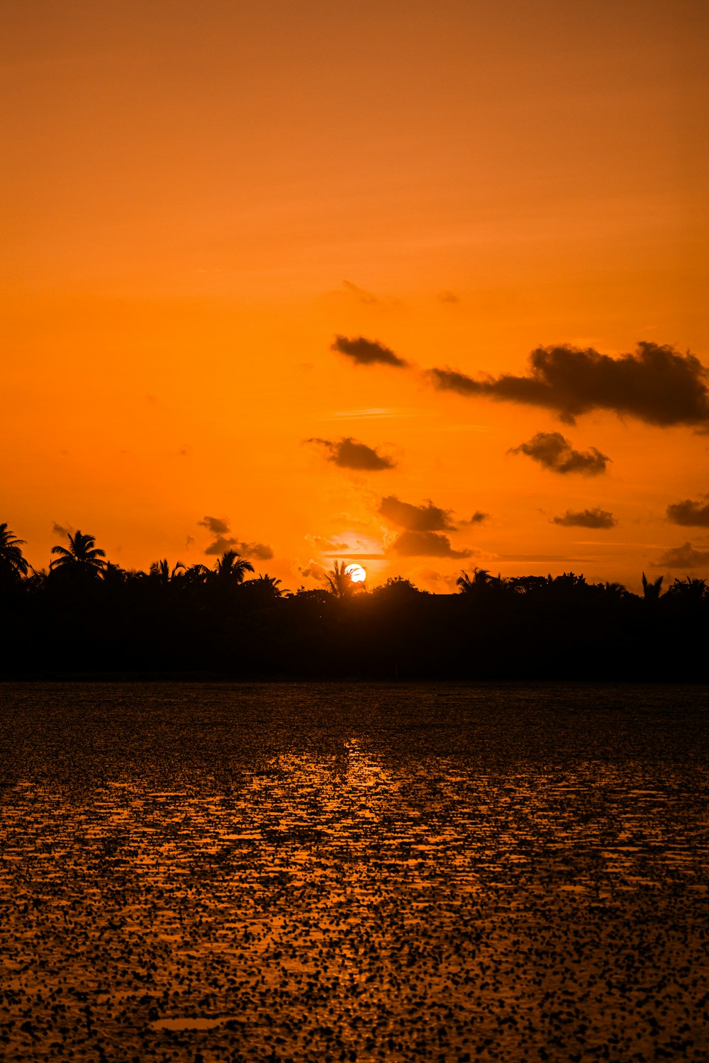 o sol está se pondo sobre um corpo de água