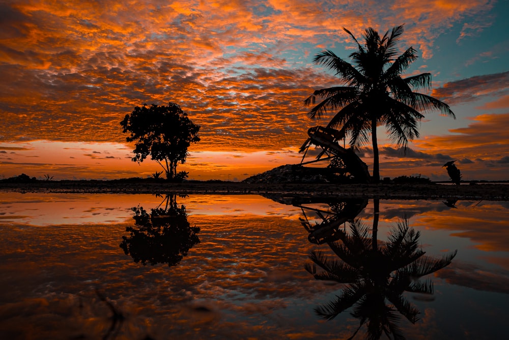 a couple of palm trees sitting next to a body of water