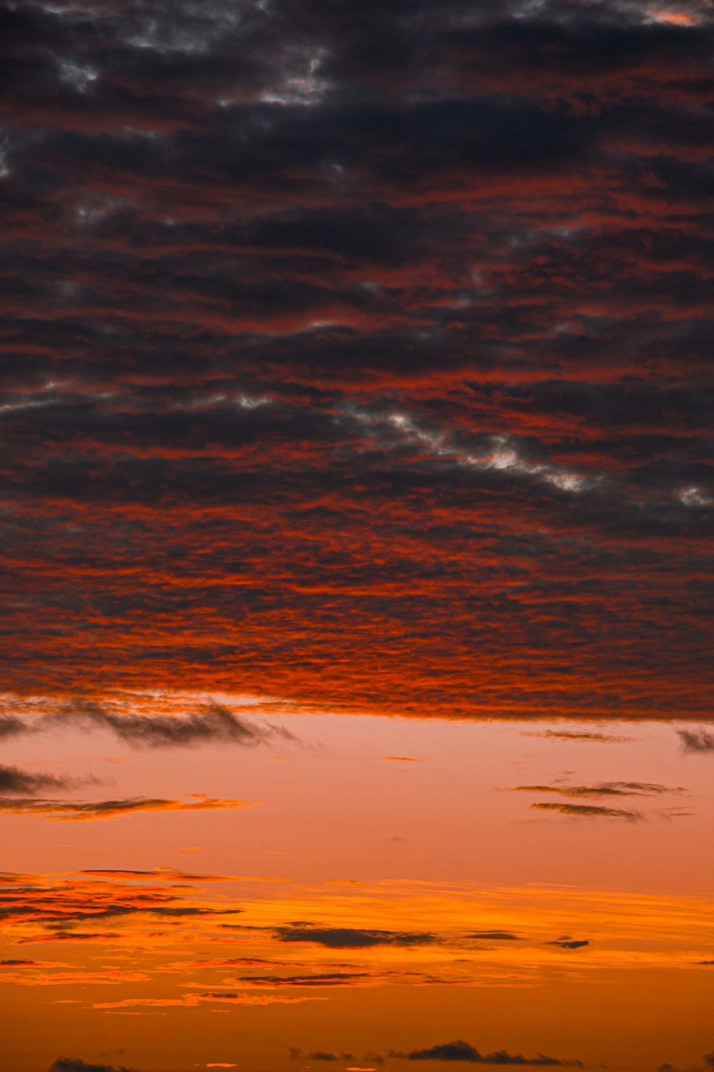 a plane flying in the sky at sunset