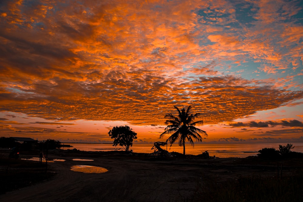 Una puesta de sol con una palmera en primer plano