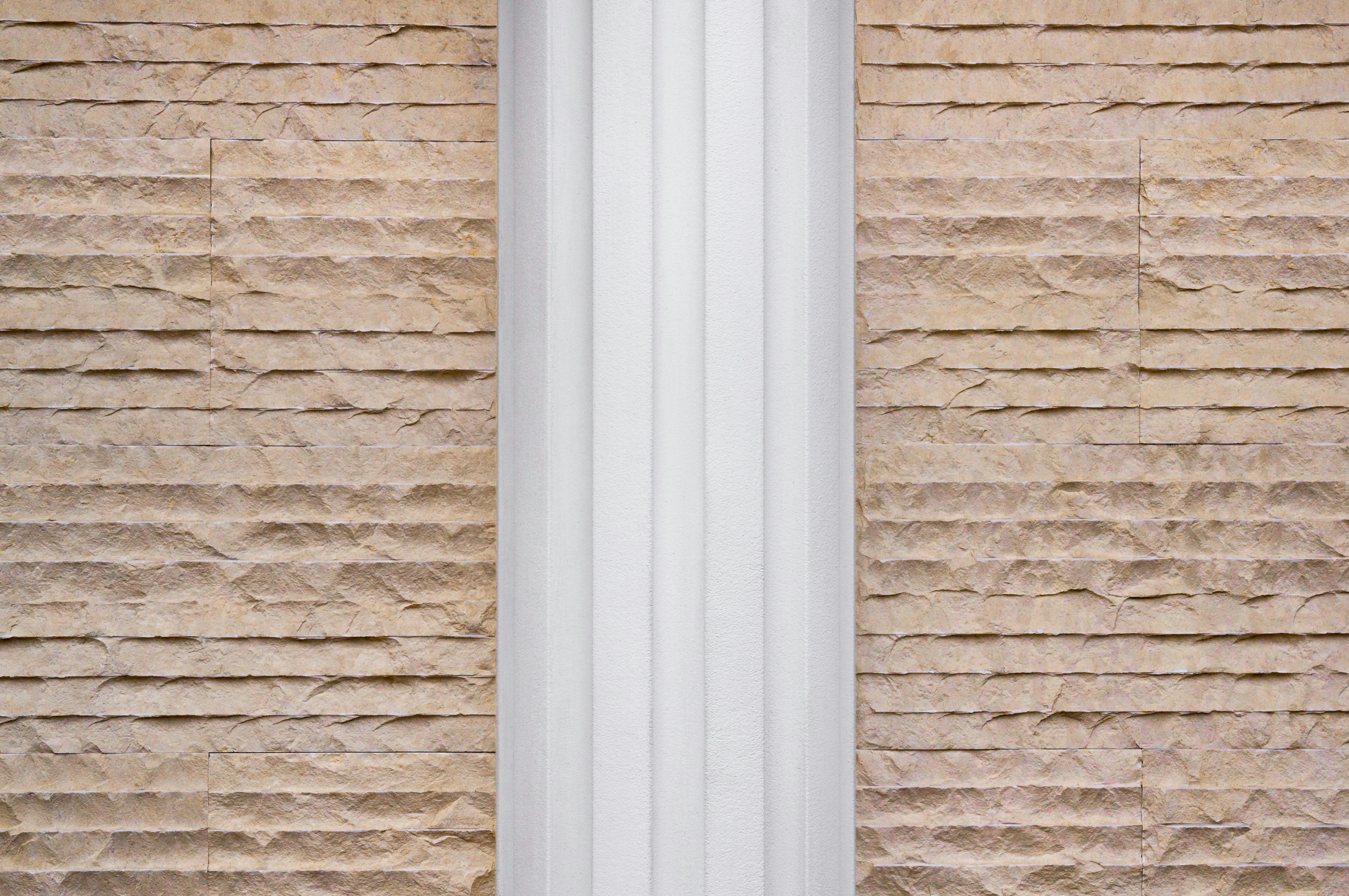 a black and white cat sitting on a window sill