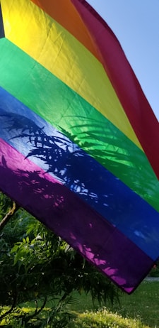 A brightly colored rainbow flag featuring horizontal stripes of red, orange, yellow, green, blue, and purple. The flag is outdoors, partially shadowed by nearby foliage. The background is a clear blue sky and green leaves.
